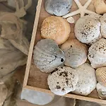 Belharucas * Albufeira