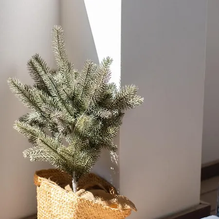 Belharucas Apartman *