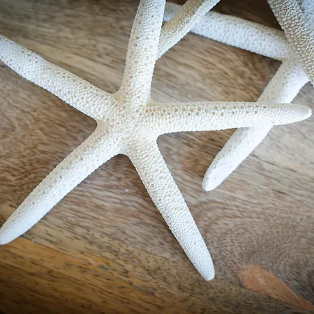 Lejlighed Belharucas *