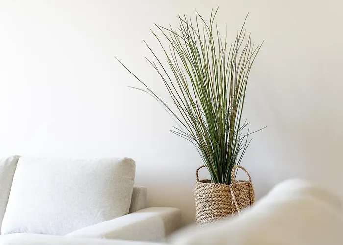 Belharucas البوفيرا