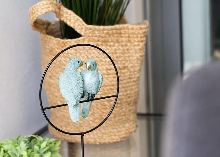 Belharucas * البوفيرا