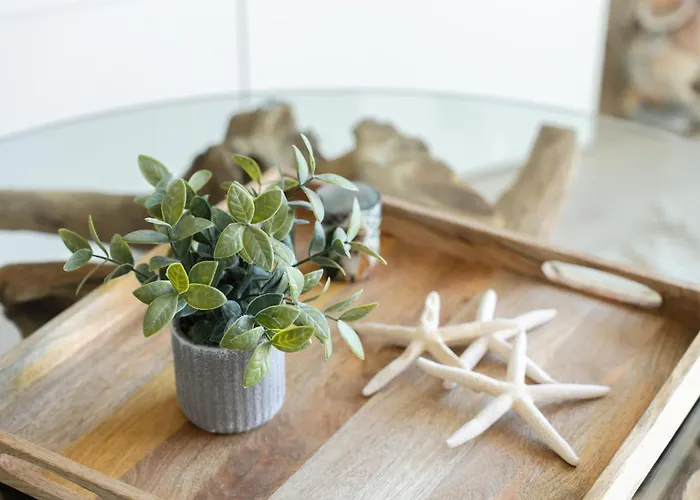 Belharucas البوفيرا