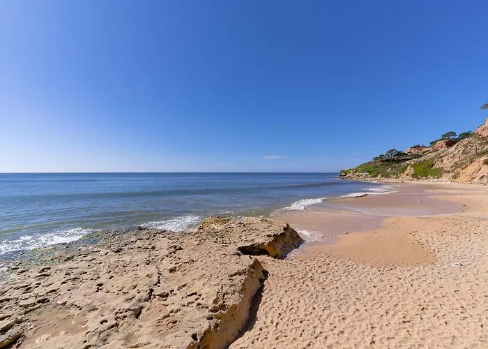 Belharucas 阿尔布费拉