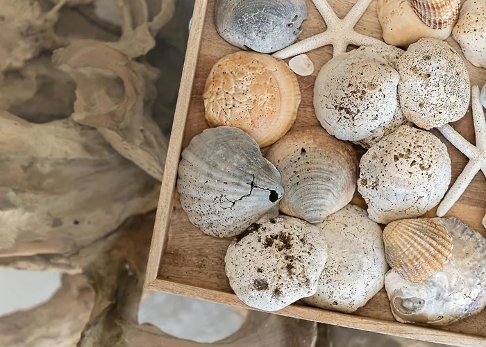 Belharucas * אלבופיירה